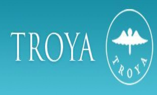 Troya İç ve Dış Ticaret